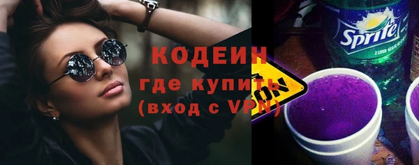 мет Няндома