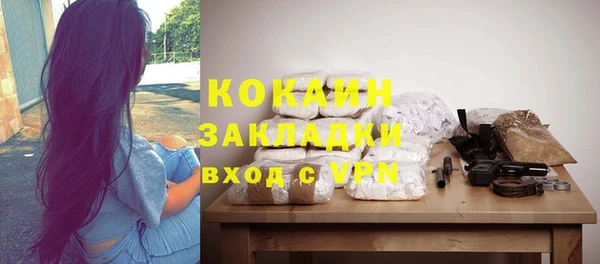 мет Няндома