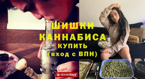 PSILOCYBIN Новокубанск