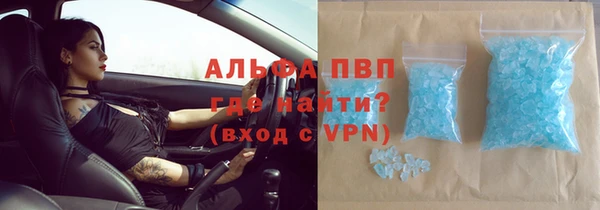 PSILOCYBIN Новокубанск