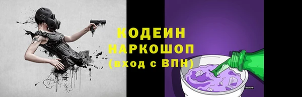 мет Няндома