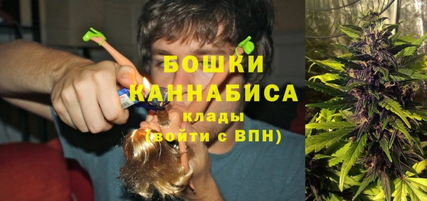 PSILOCYBIN Новокубанск