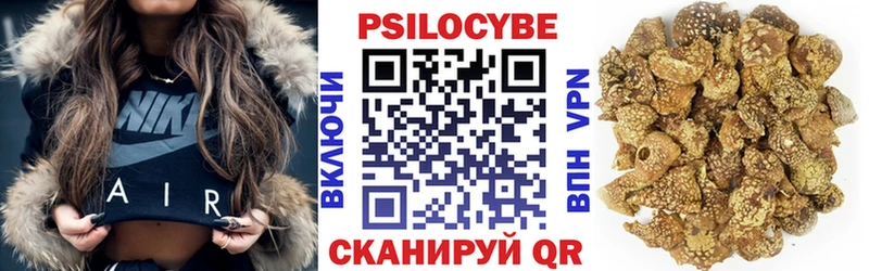 блэк спрут онион  Макушино  Псилоцибиновые грибы Magic Shrooms  что такое наркотик 